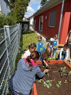 Gemüsebeet KIDS Aktion von Scheck-in