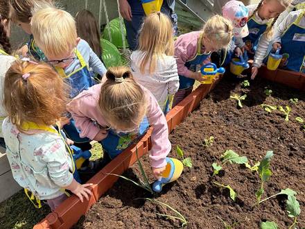 Gemüsebeet KIDS Aktion von Scheck-in