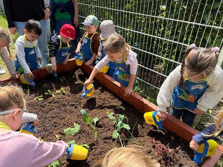 Gemüsebeet KIDS Aktion von Scheck-in