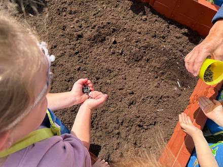 Gemüsebeet KIDS Aktion von Scheck-in
